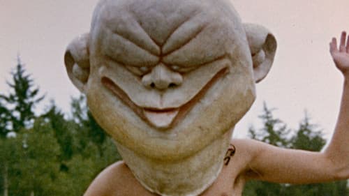 The Meadows Green Bild 1