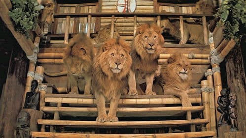 Roar - Die Löwen sind los Bild 8