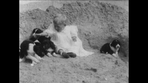 Wonder Dogs! Canine Stars of the Silent Era (1898-1928) Bild 1