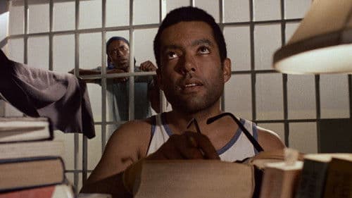 Douglas Street - Das Chamäleon Bild 5