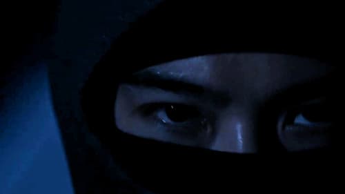 House of Ninjas Bild 4