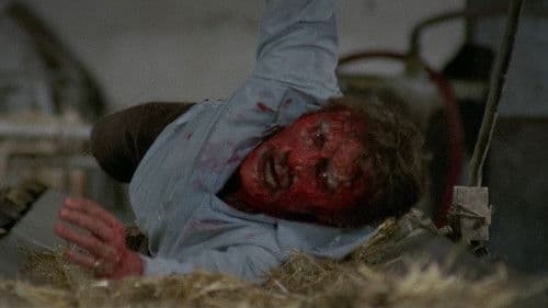 Inferno unter heißer Sonne Bild 3