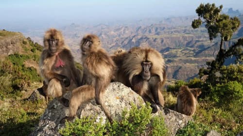 Le royaume des nuages Bild 8