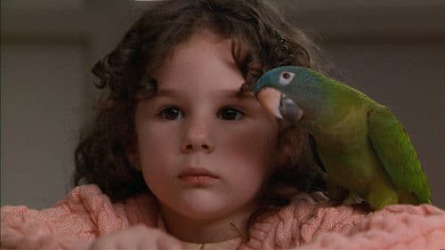 Paulie - Ein Plappermaul macht seinen Weg Bild 4