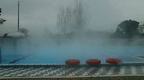 W. – Was von der Lüge bleibt Bild 4