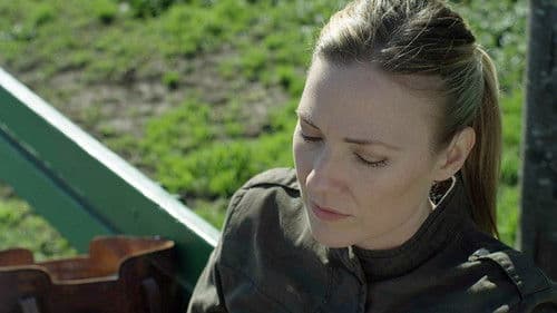 Metropolitan Crush Bild 2