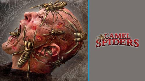 Camel Spiders - Angriff der Monsterspinnen Bild 1