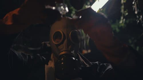 The Plant Boy Bild 5