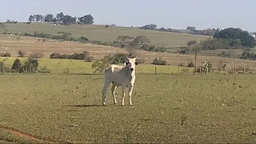 Distorção do Universo 2 Bild 4