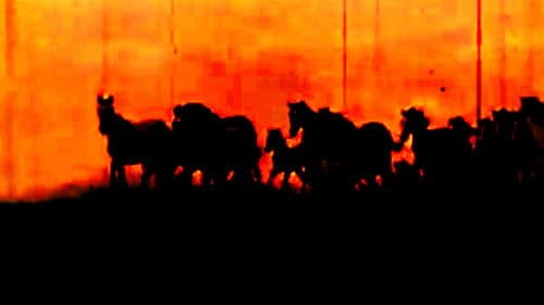 Naughty America: Guns & Stripes Bild 1