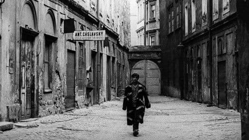 Démanty noci Bild 8