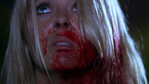 Bikini Spring Break Massaker Bild 2