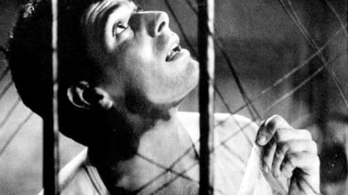 Tag für Tag Verzweiflung Bild 2