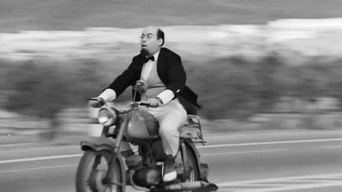 Τρελλός, Παλαβός και Βέγγος Bild 2