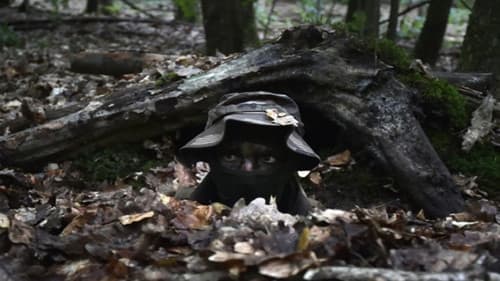 The East - De Oost Bild 4