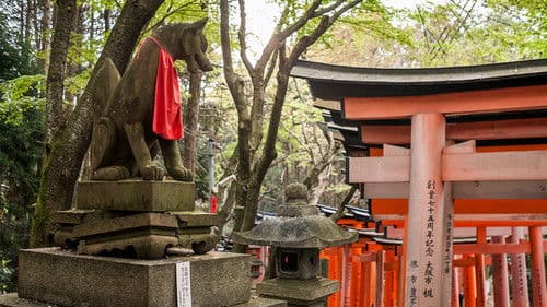 Freier Mensch Bild 8