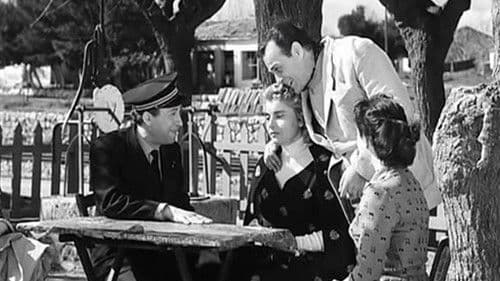 Ούτε γάτα, ούτε ζημιά Bild 6