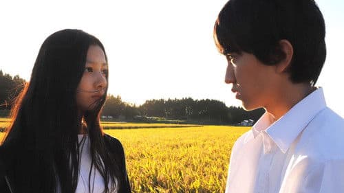 光を追いかけて Bild 1