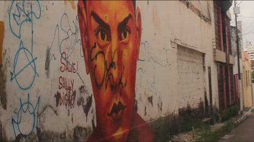 Fisionomia Belém Bild 1