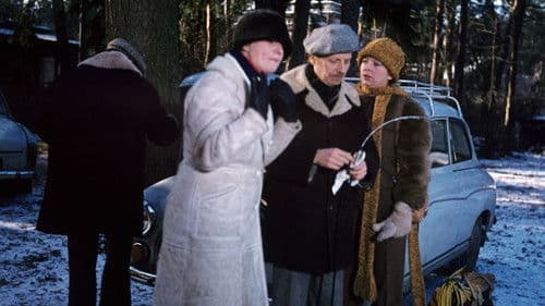 Brunet wieczorową porą Bild 8