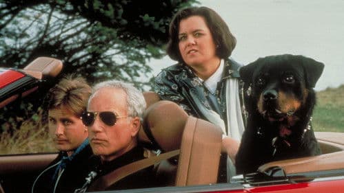 Die Abservierer Bild 4