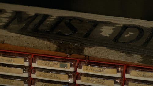 The Fog - Nebel des Grauens Bild 8