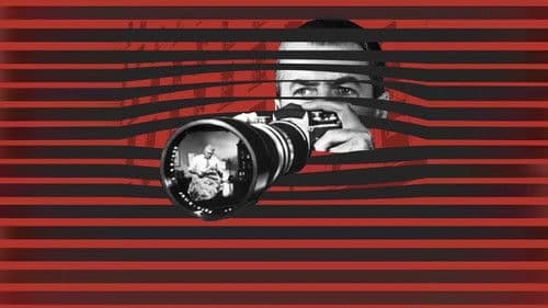 Das Fenster zum Hof Bild 6