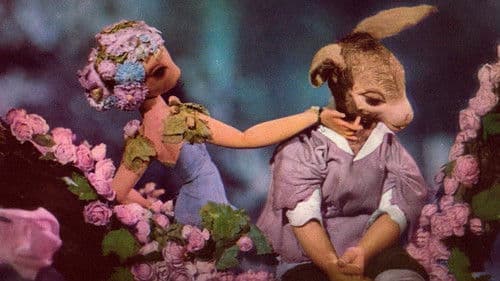 Sen noci svatojánské Bild 4