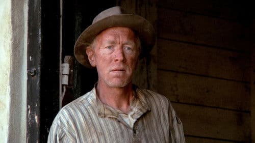 Pelle der Eroberer Bild 3