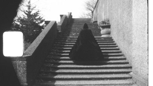 Efêmera Paradoxal Bild 2