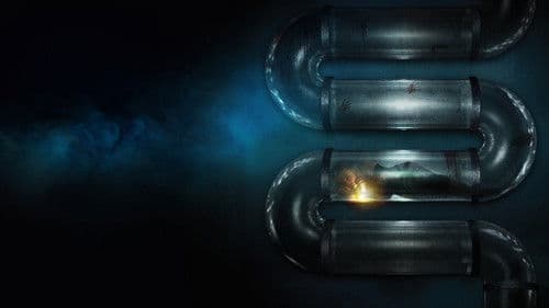 Meander - Survival Instinct Bild 2