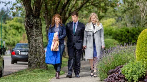 Signed, Sealed, Delivered: Lost Without You Bild 8