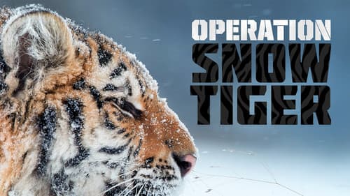 Operation Snow Tiger Bild 1