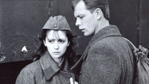 Carmen Horrendum Bild 1