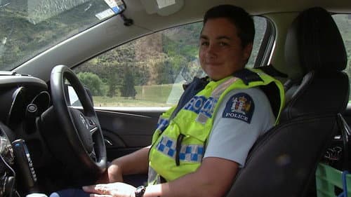 Highway Cops Bild 4