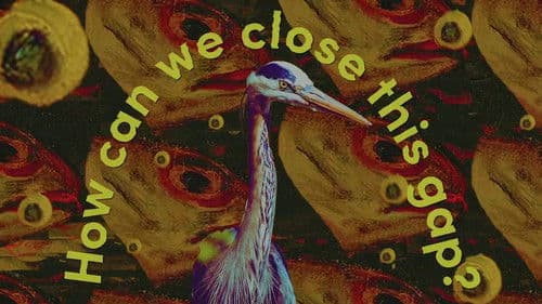 Reflections on Dutch Capitalism; Zero Sugar version Bild 1