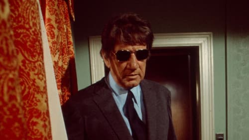 In Broad Daylight Bild 1