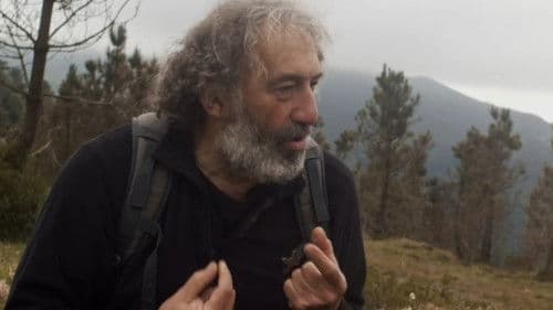 Salvajes, El Cuento Del Lobo Bild 7