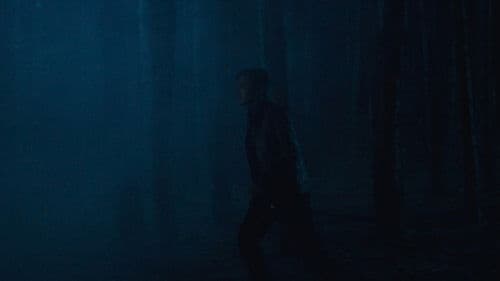 Come Back Home Bild 2