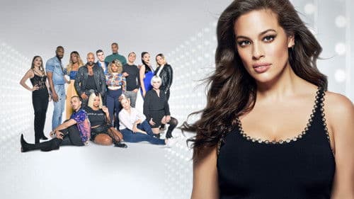 American Beauty Star Bild 2