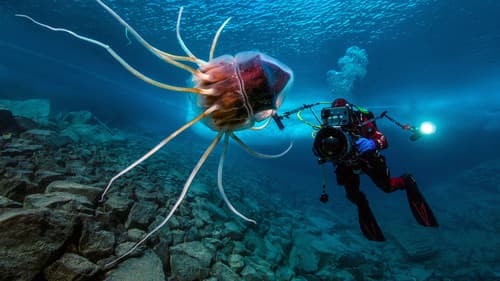 28 Tage unter dem Mittelmeer – Station Bathyale Bild 2