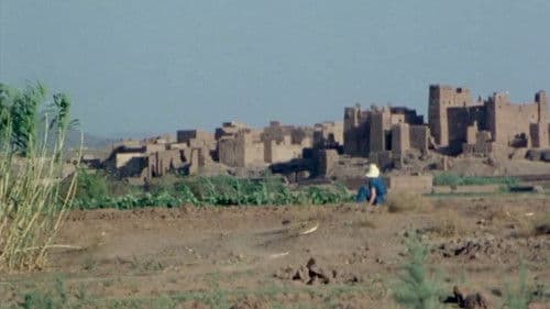 The Great Sadness of Zohara Bild 2