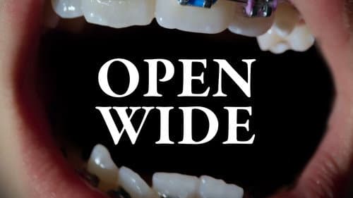Open Wide Bild 2