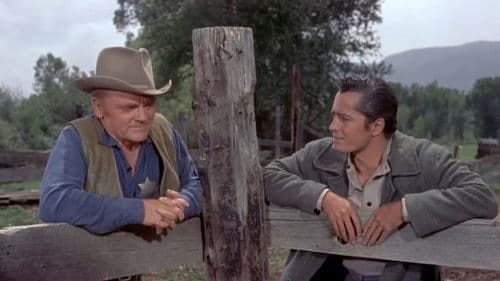 Im Schatten des Galgens Bild 1