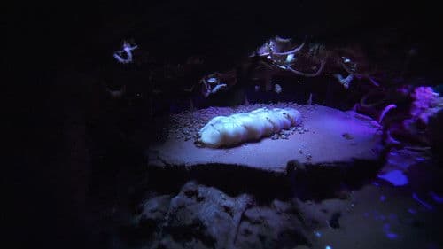 Micropolis - Kampf der Giganten Bild 2