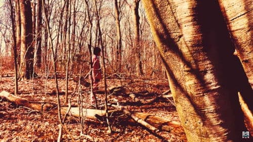 Hey, My Friend | A Dunces Burden Musical Bild 5