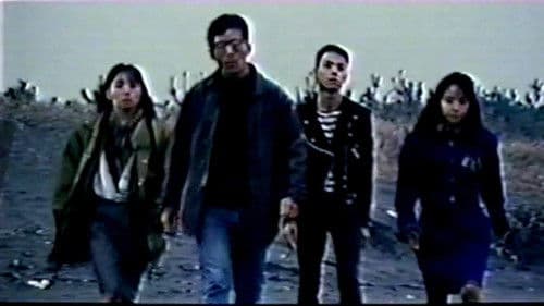 Neigh Means Yes Bild 6