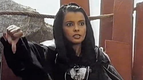 Phönix - The Warrior Bild 6