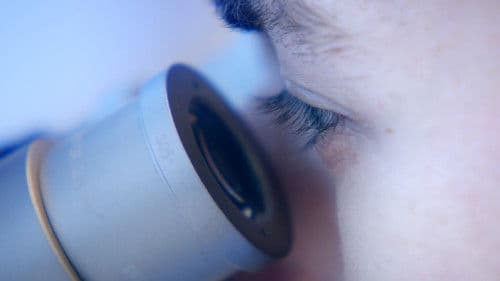 Le rêve des cigognes Bild 6