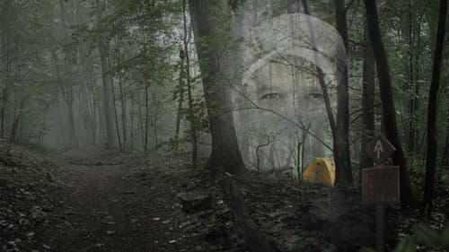 Mostly Harmless Bild 1